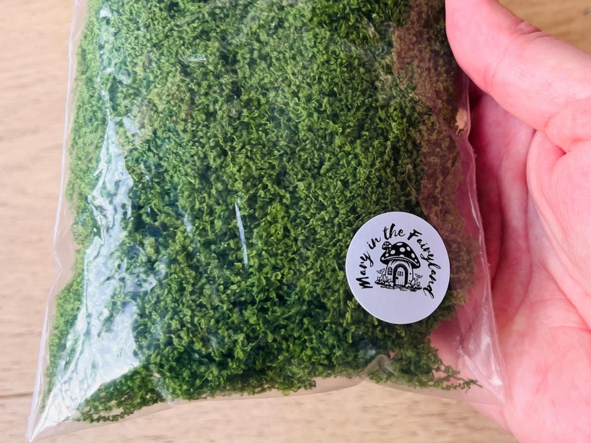 100g Green String Moss for Fairy Gardens - DIY Fairy Houses, Terrariums, Mini Landscapes & Crafts