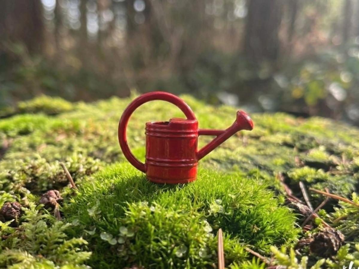 Easter Fairy Basket Gift Set, Fairy Door Bundle, Easter Basket Filler, Mini Fairy Garden Gift, Fairy Bench Broom Watering Can