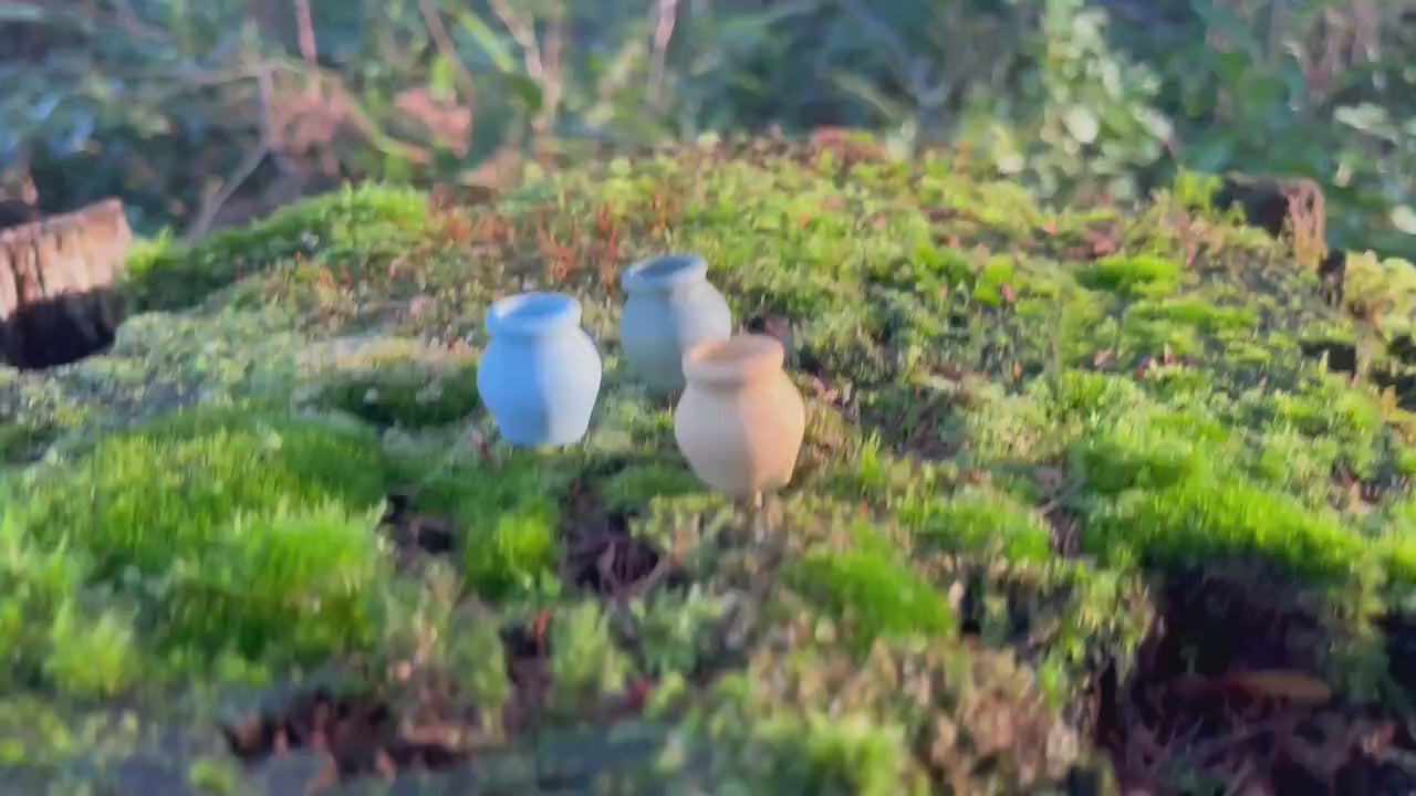 Set of 3 Enchanted Miniature Ceramic Vases