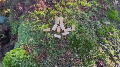 Miniature Golden Bar – 10-Pack Golden Alloy Bars for DIY, Fairy Garden