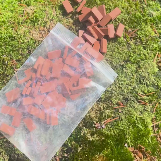 Mini Bricks 1:35 - 100 pc Set for Fairy House & Fairy Garden Building