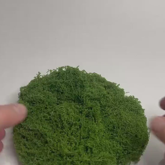 Green String Moss for Fairy Houses & Fairy Gardens (50g / 100g)