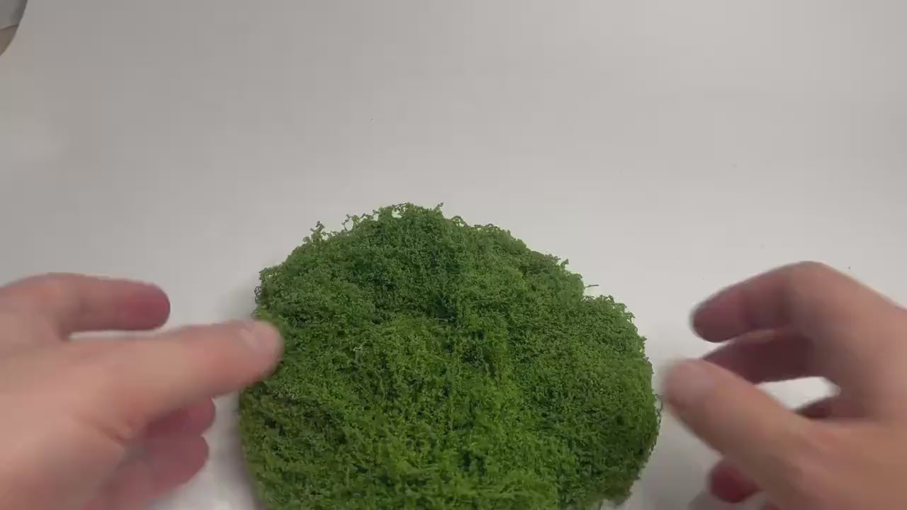 Green String Moss for Fairy Houses & Fairy Gardens (50g / 100g)