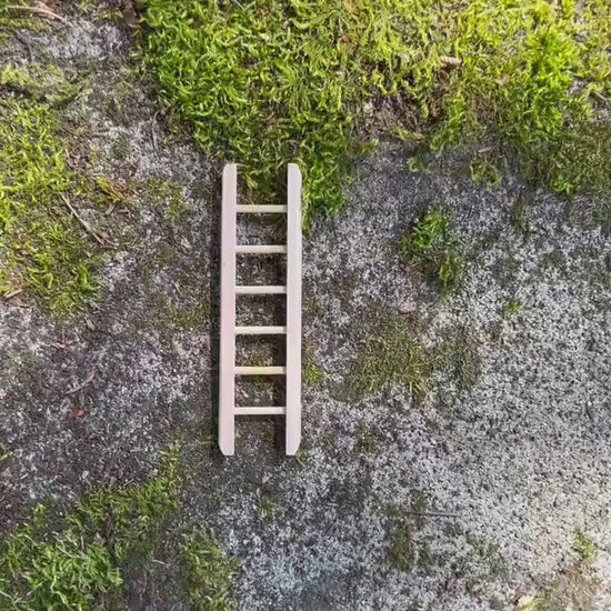 Miniature Fairy Ladder - Natural Wood
