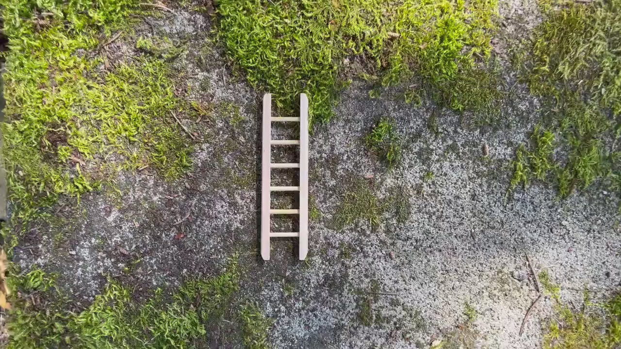 Miniature Fairy Ladder - Natural Wood