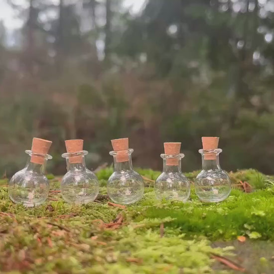 Set of 5 Enchanted Transparent Miniature Bottles