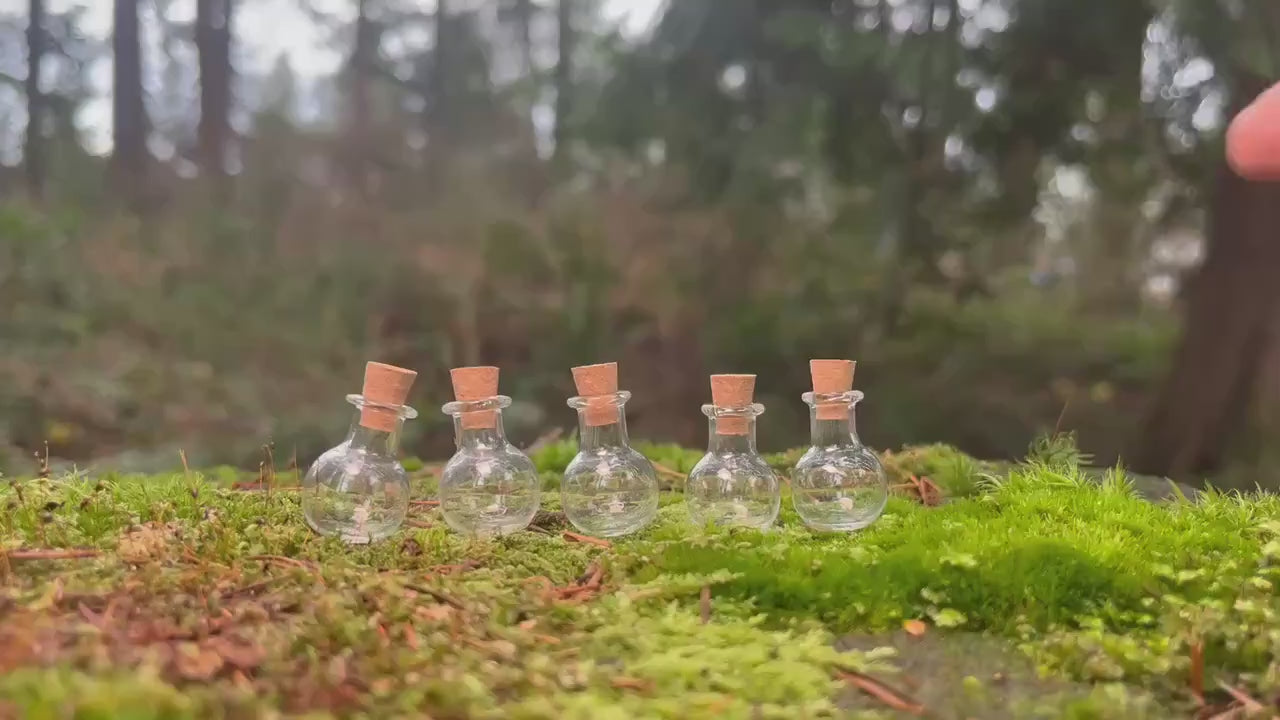 Set of 5 Enchanted Transparent Miniature Bottles