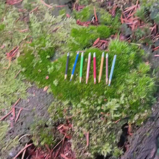 8 Miniature Colorful Pencils