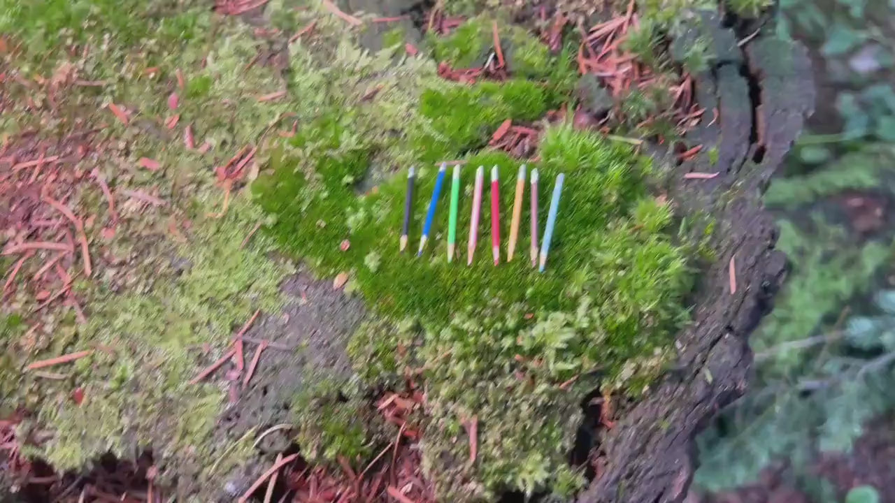 8 Miniature Colorful Pencils