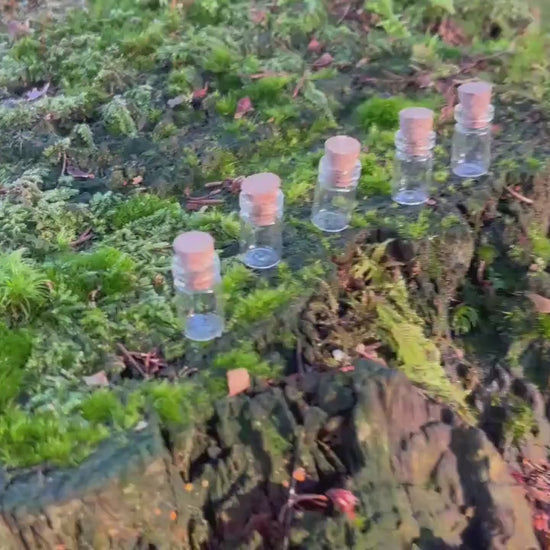 Set of 5 Enchanted Transparent Tiny Bottles