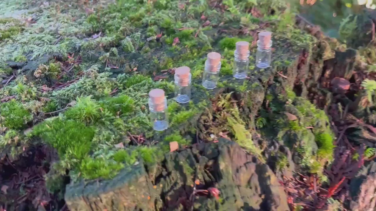 Set of 5 Enchanted Transparent Tiny Bottles
