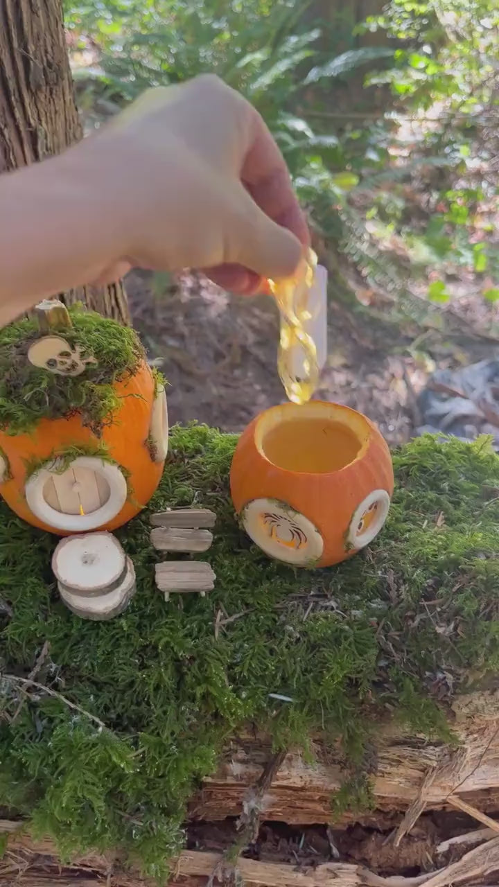 2x DIY pumpkin fairy house Kits