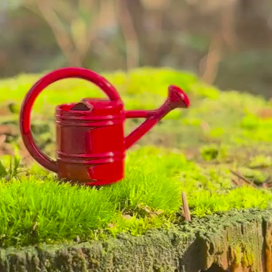 Miniature Fairy Garden Watering Can - Tiny Metal Decor - 1/24 Scale Mini Accessory