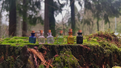 Set of 6 Enchanted Colored Miniature Bottles